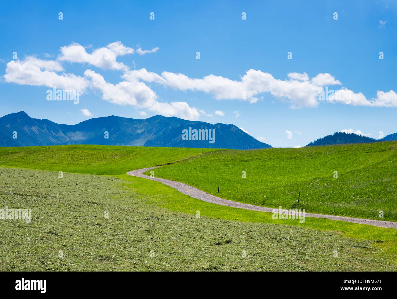 Deutschland, bayerische Oberland Feldweg in der Nähe von Hundham Stockfoto