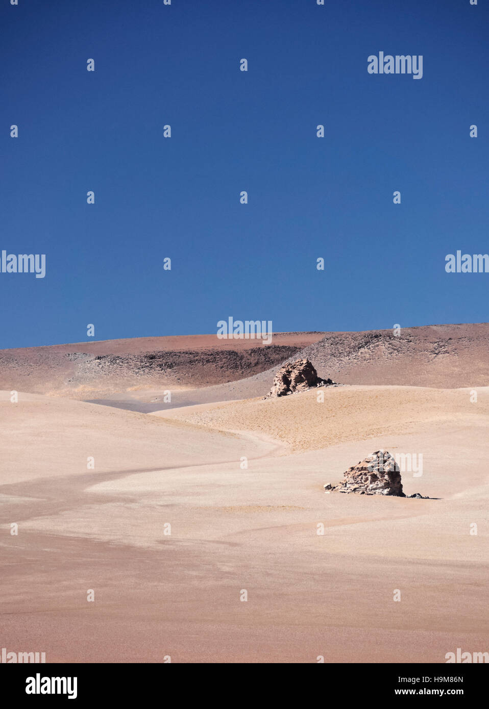 Bolivien, Potosi Departmant Sur Lipez Provinz Eduardo Avaroa Anden Fauna Nationalreservat, der Dali Wüste Landschaft. Stockfoto