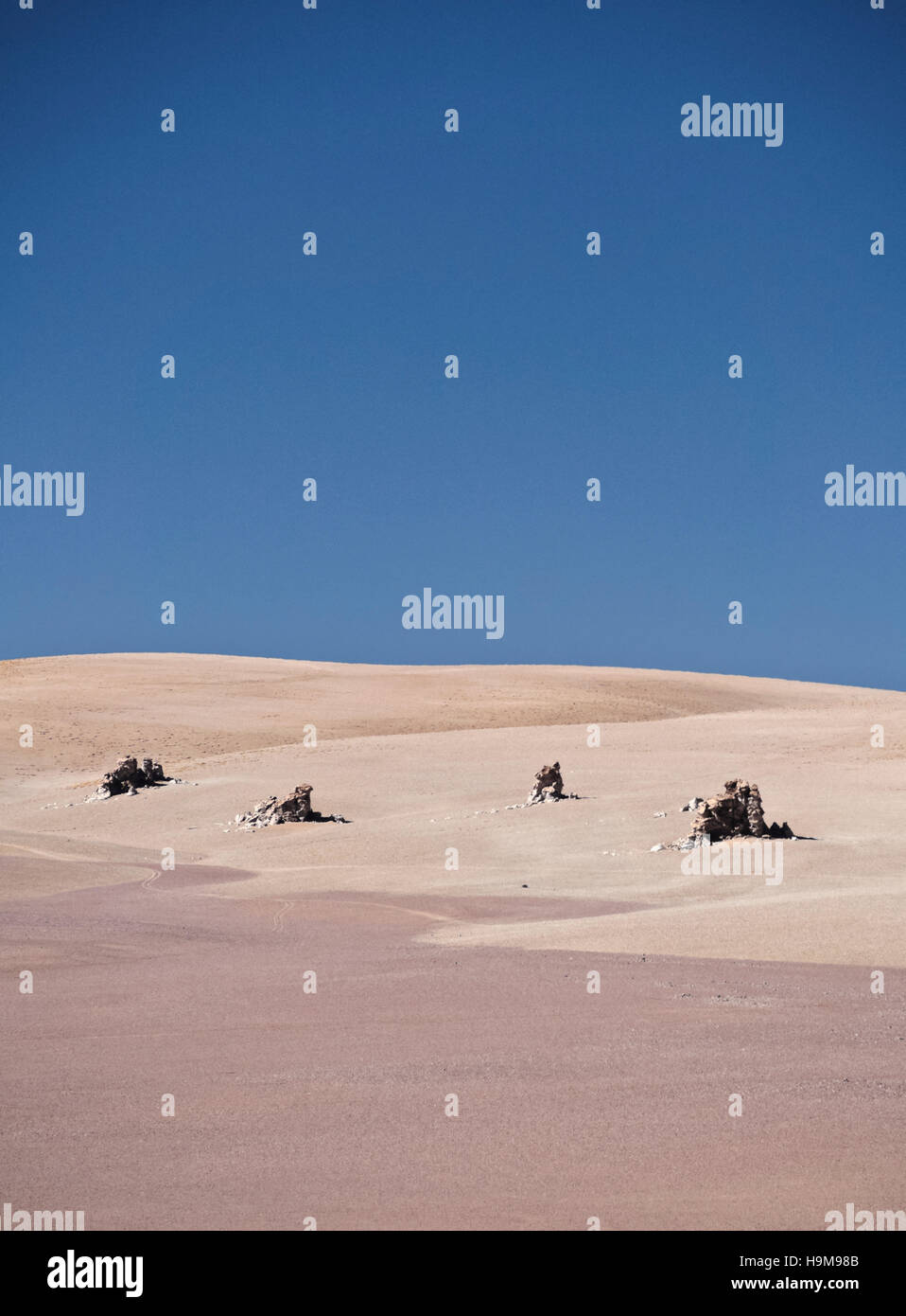 Bolivien, Potosi Departmant Sur Lipez Provinz Eduardo Avaroa Anden Fauna Nationalreservat, der Dali Wüste Landschaft. Stockfoto