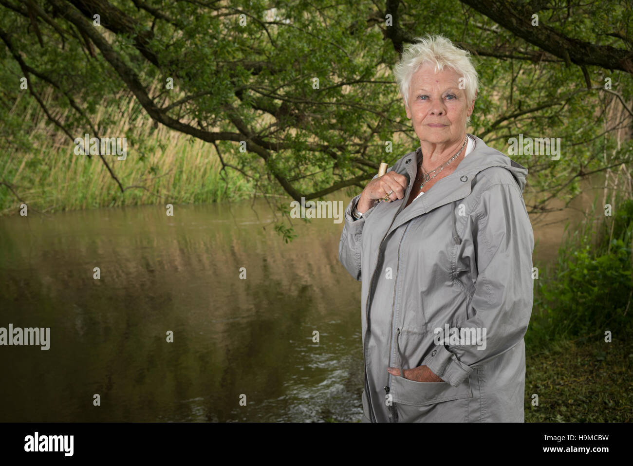 Dame Judi Dench posiert in ländlicher Umgebung Stockfoto