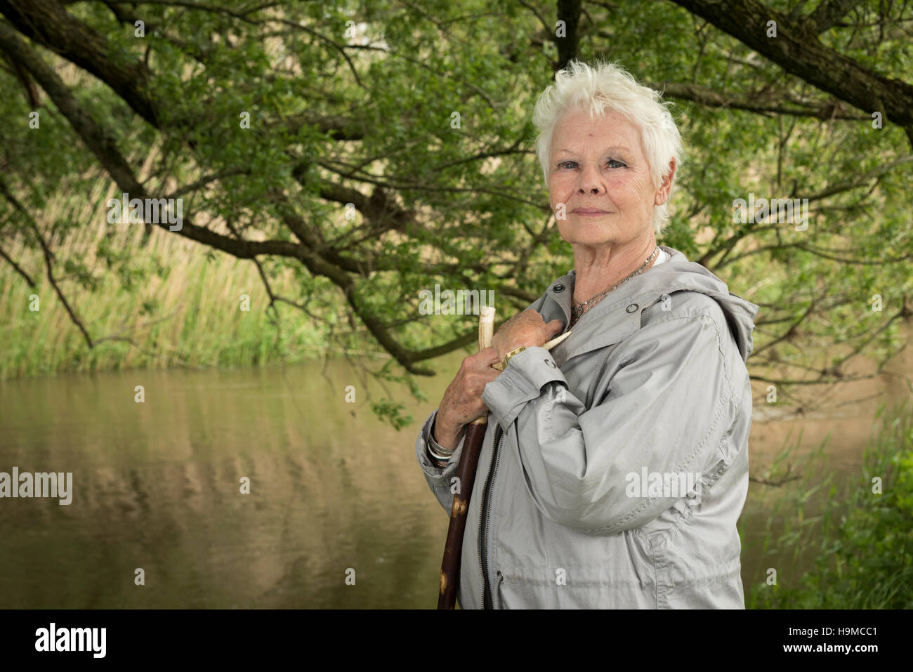 Dame Judi Dench posiert in ländlicher Umgebung Stockfoto