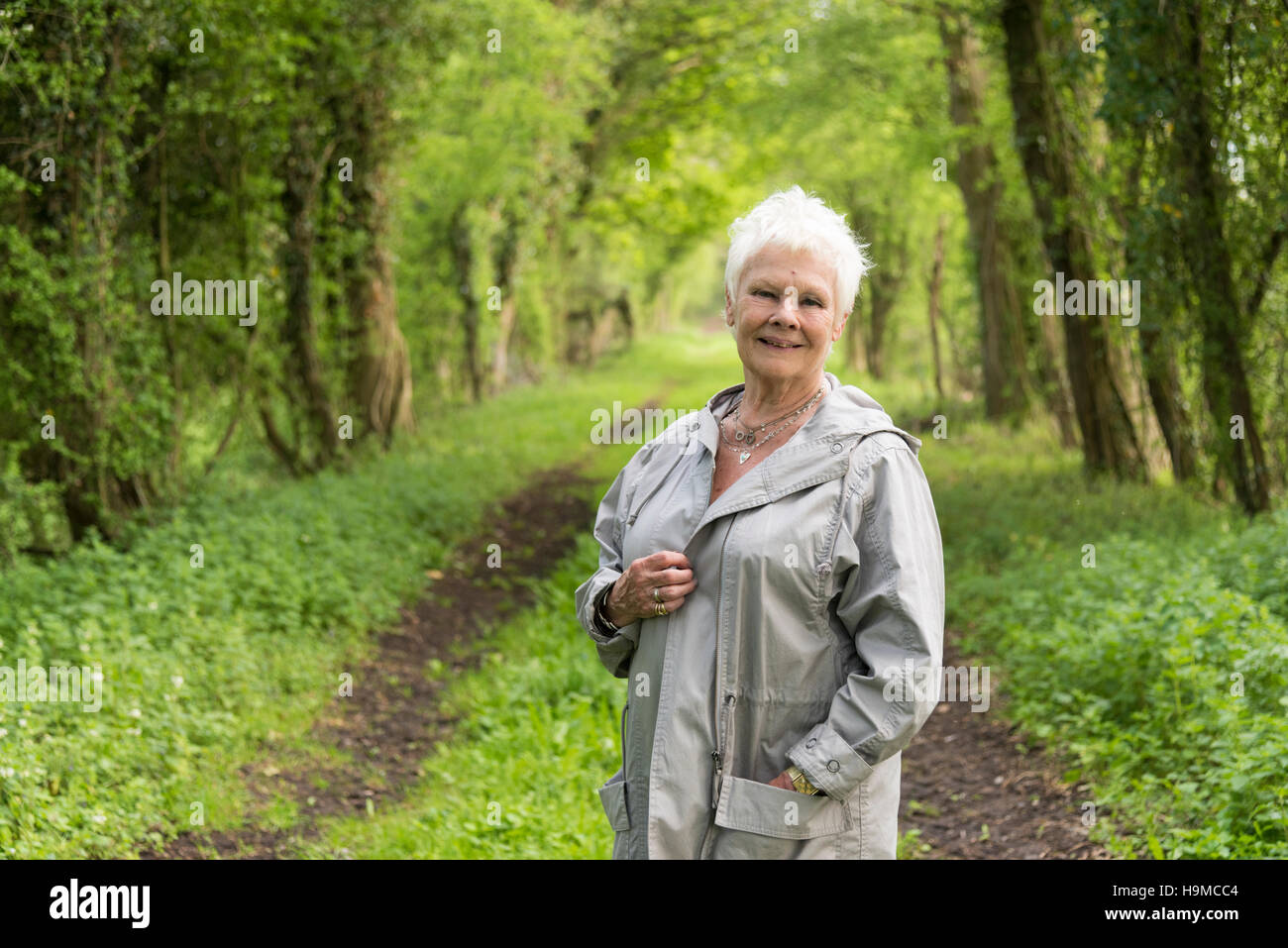 Dame Judi Dench posiert in ländlicher Umgebung Stockfoto