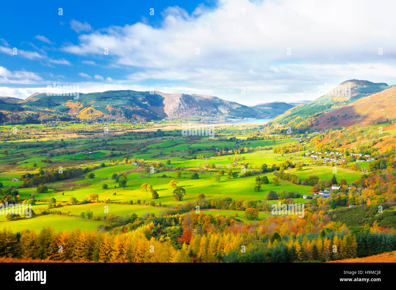 Blick vom Latrigg über das Borrowdale-Tal in Richtung Bassenthwaite Lake im Herbst, Lake District, Cumbria, England, UK Stockfoto