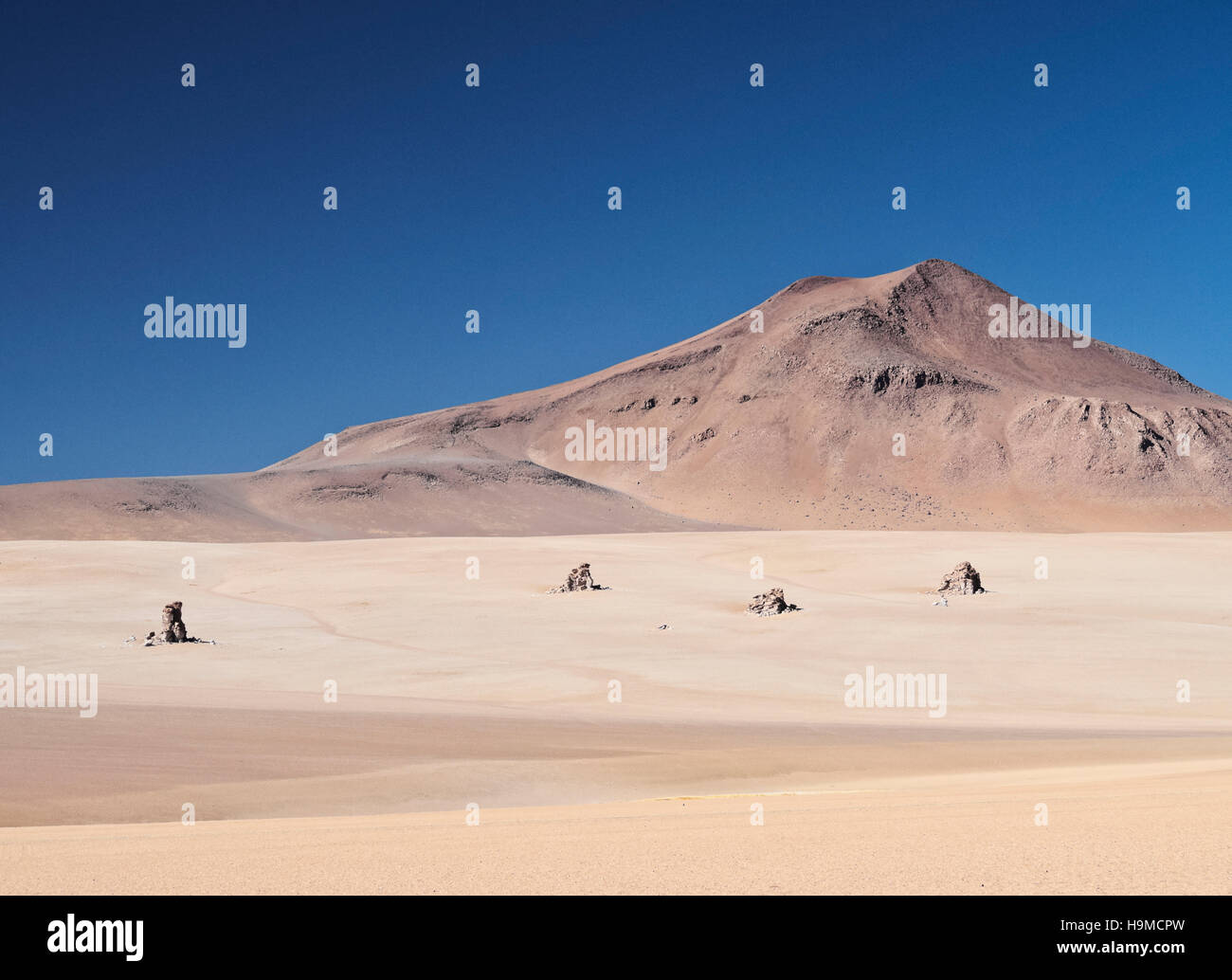 Bolivien, Potosi Departmant Sur Lipez Provinz Eduardo Avaroa Anden Fauna Nationalreservat, der Dali Wüste Landschaft. Stockfoto