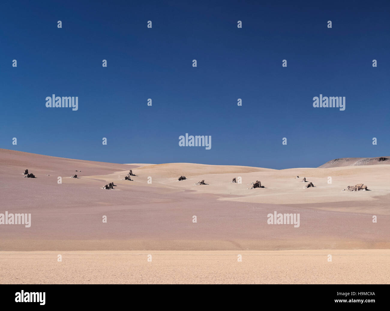 Bolivien, Potosi Departmant Sur Lipez Provinz Eduardo Avaroa Anden Fauna Nationalreservat, der Dali Wüste Landschaft. Stockfoto