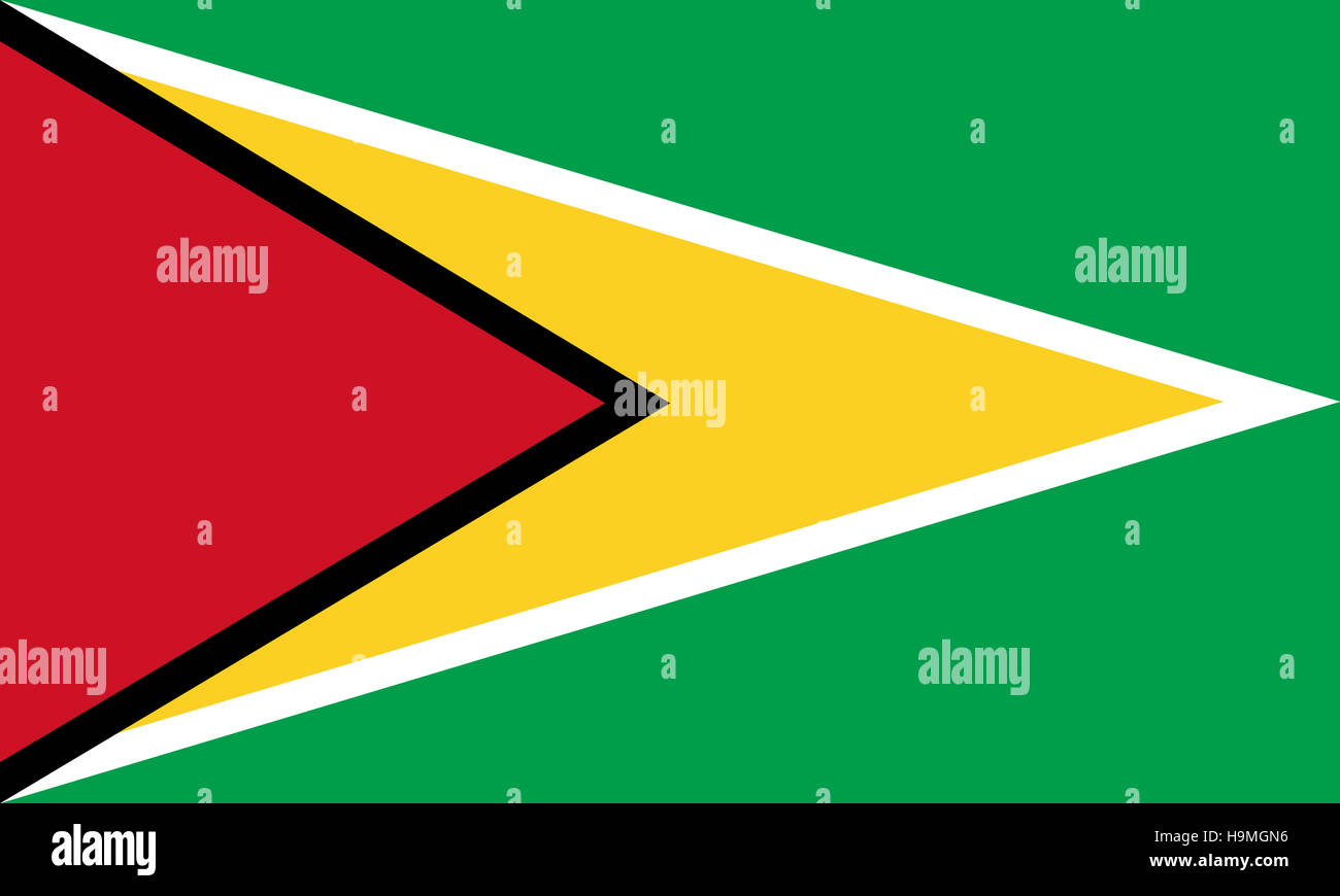 Offizielle Vektor Flagge von Guyana. Kooperative Republik Guyana. Stockfoto