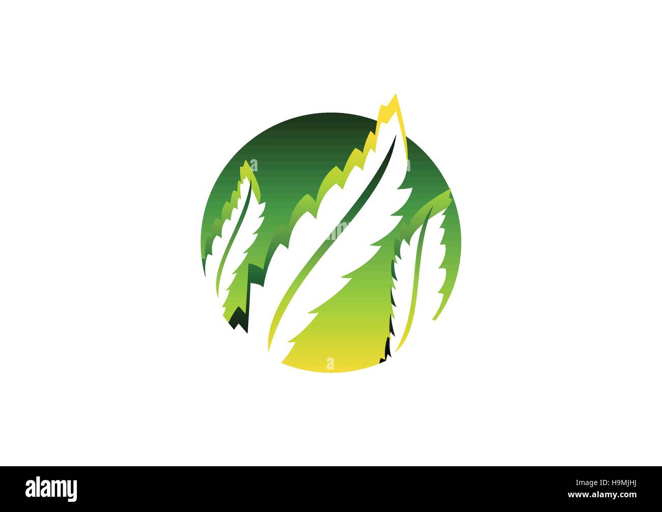 Kreis Pflanze Ökologie Konzept Logo, verlässt Abbildung Natur grünes Symbol Symbol Vektor-design Stock Vektor