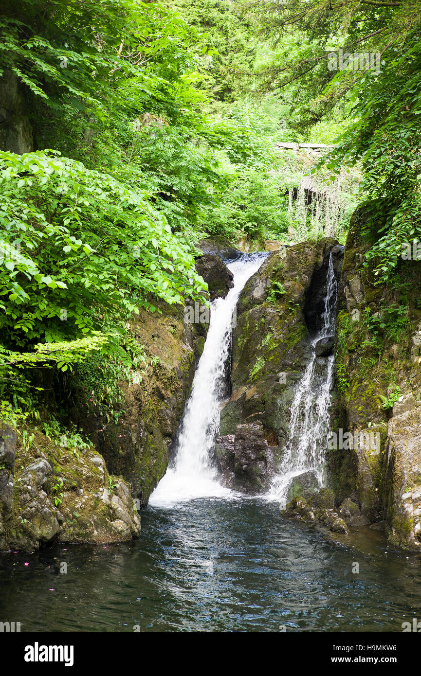 Woodland-Wasserfall in Rydal Hall Gärten in Cumbria UK Stockfoto