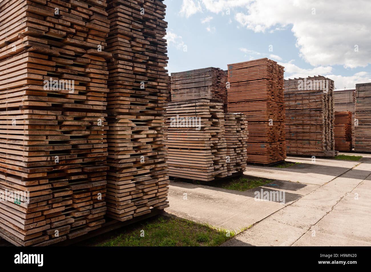 Gestapelte Holz in Holz Verarbeitung Pflanze, Templin, Uckermark Bezirk von Brandenurg, Deutschland. Stockfoto