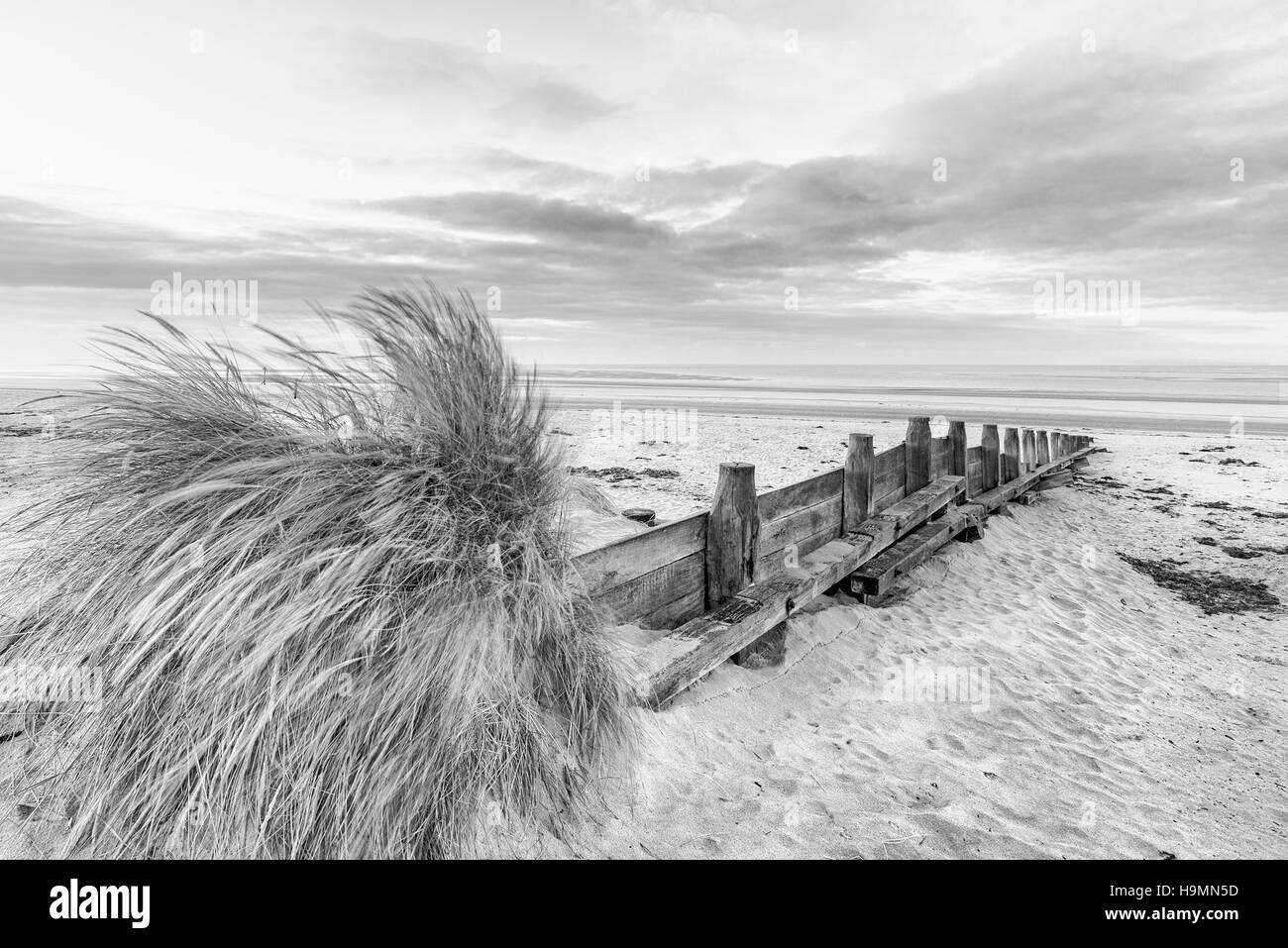 Schöner Strand Küstenlandschaft Bild bei Sonnenaufgang in schwarz / weiß Stockfoto