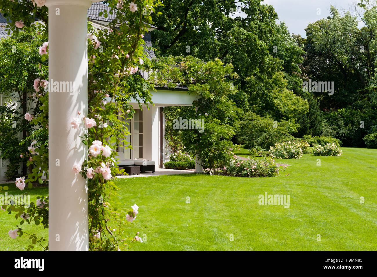 Rosa und weiße Gebäudehülle im Garten des Deutschen Hauses klettern Stockfoto