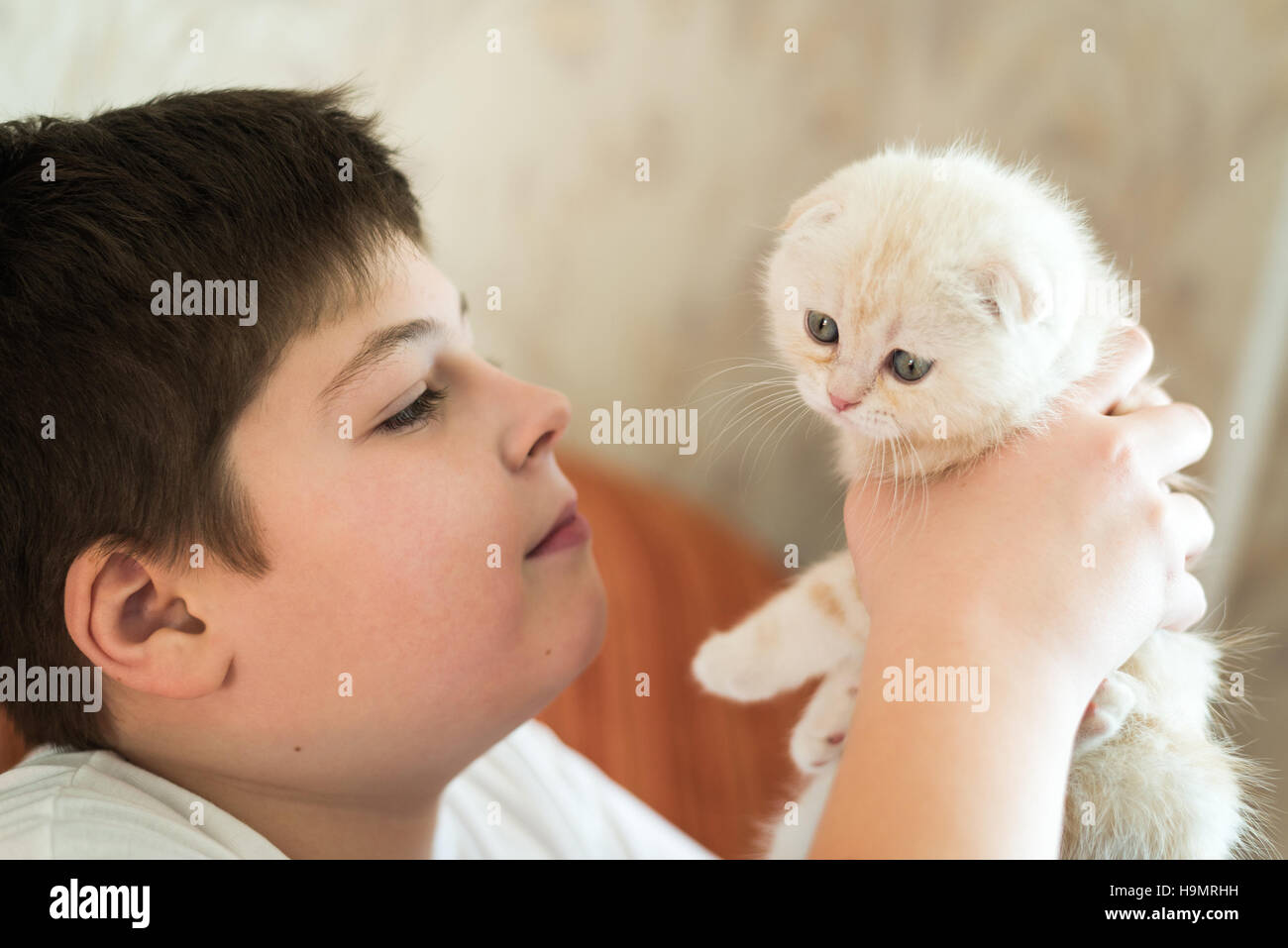 Junge Teenager halten Kätzchen im Arm Stockfoto