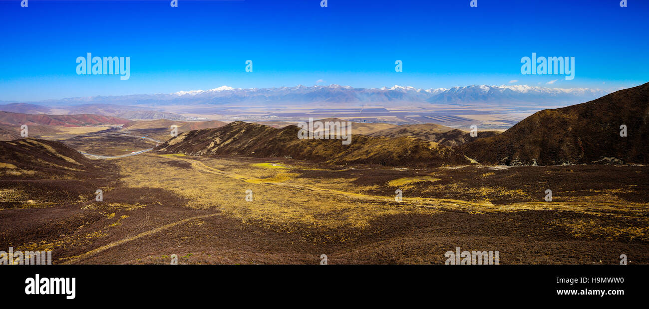 Die Wiese des Qilian-Gebirges, Provinz Qinghai, China Stockfoto