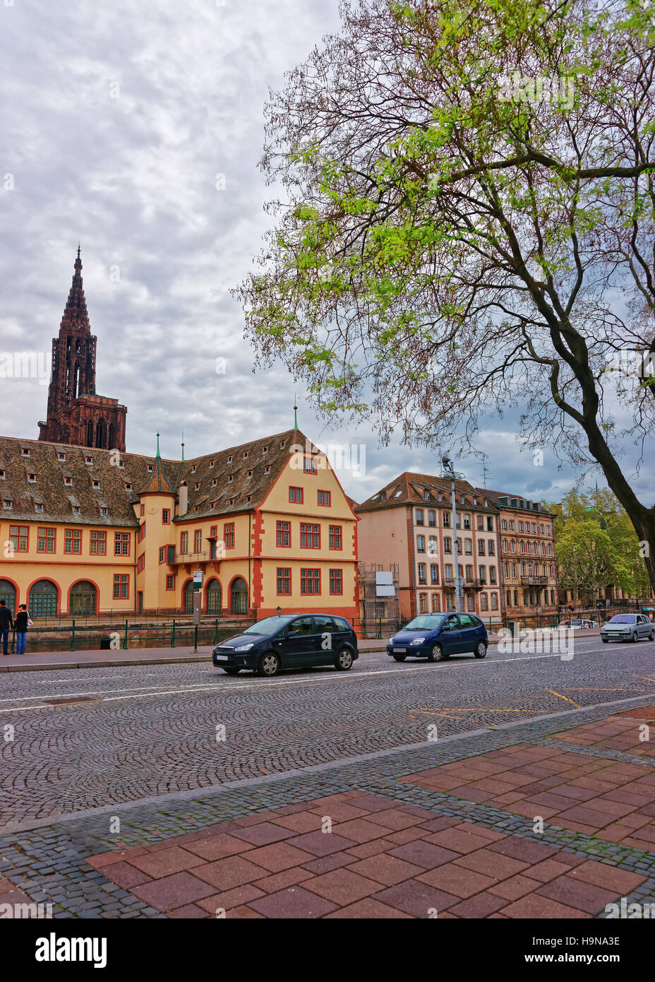 Das historische Museum und die Kathedrale von Notre Dame am Ufer der Ill Fluss und Brücke Pont du Corbeau in der Altstadt von Straßburg, Grand East regi Stockfoto