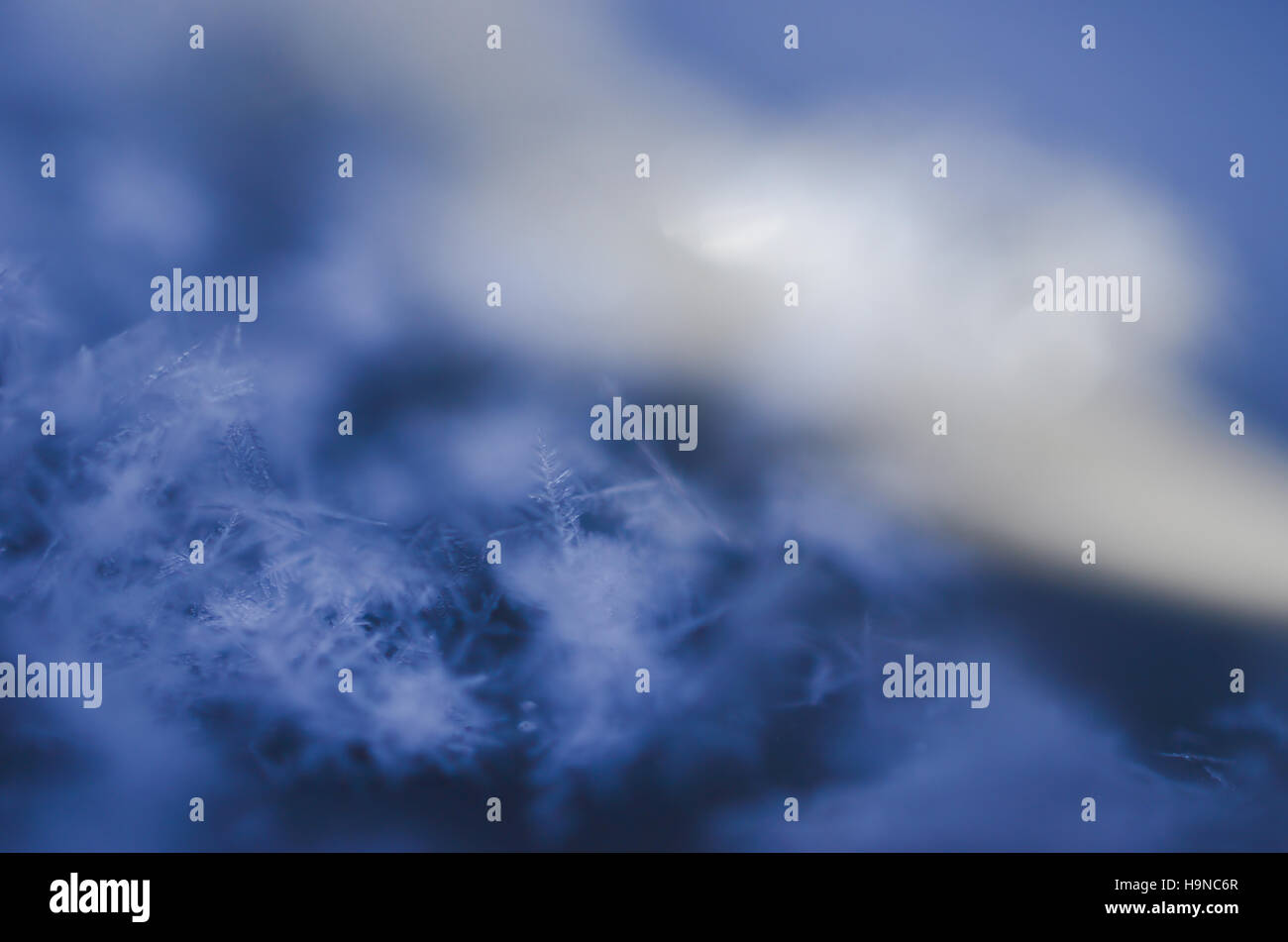 Schneeflocken, die detaillierte Nahaufnahme Stockfoto