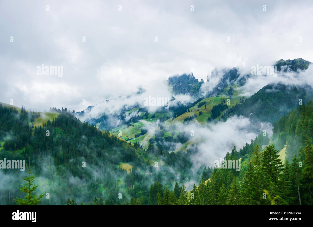 Natur der Schweizer Alpen am Jaun-Pass in Fribourg Kanton der Schweiz. Stockfoto