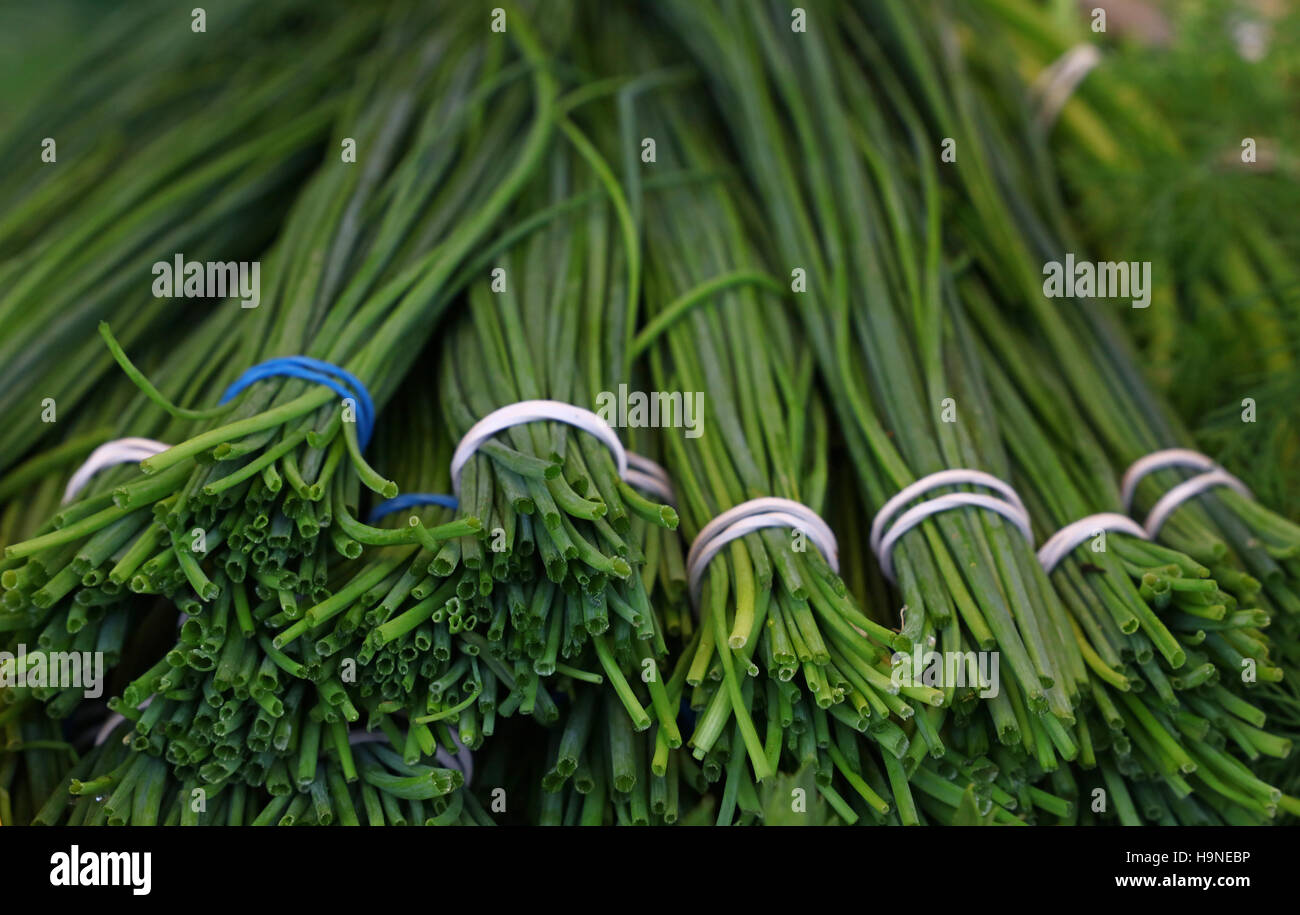 Trauben von frischen Frühling grün Schalotten Lauch Zwiebeln auf Einzelhandel Landwirte Anzeige vermarkten, Nahaufnahme, niedrigen Winkel Ansicht Stockfoto