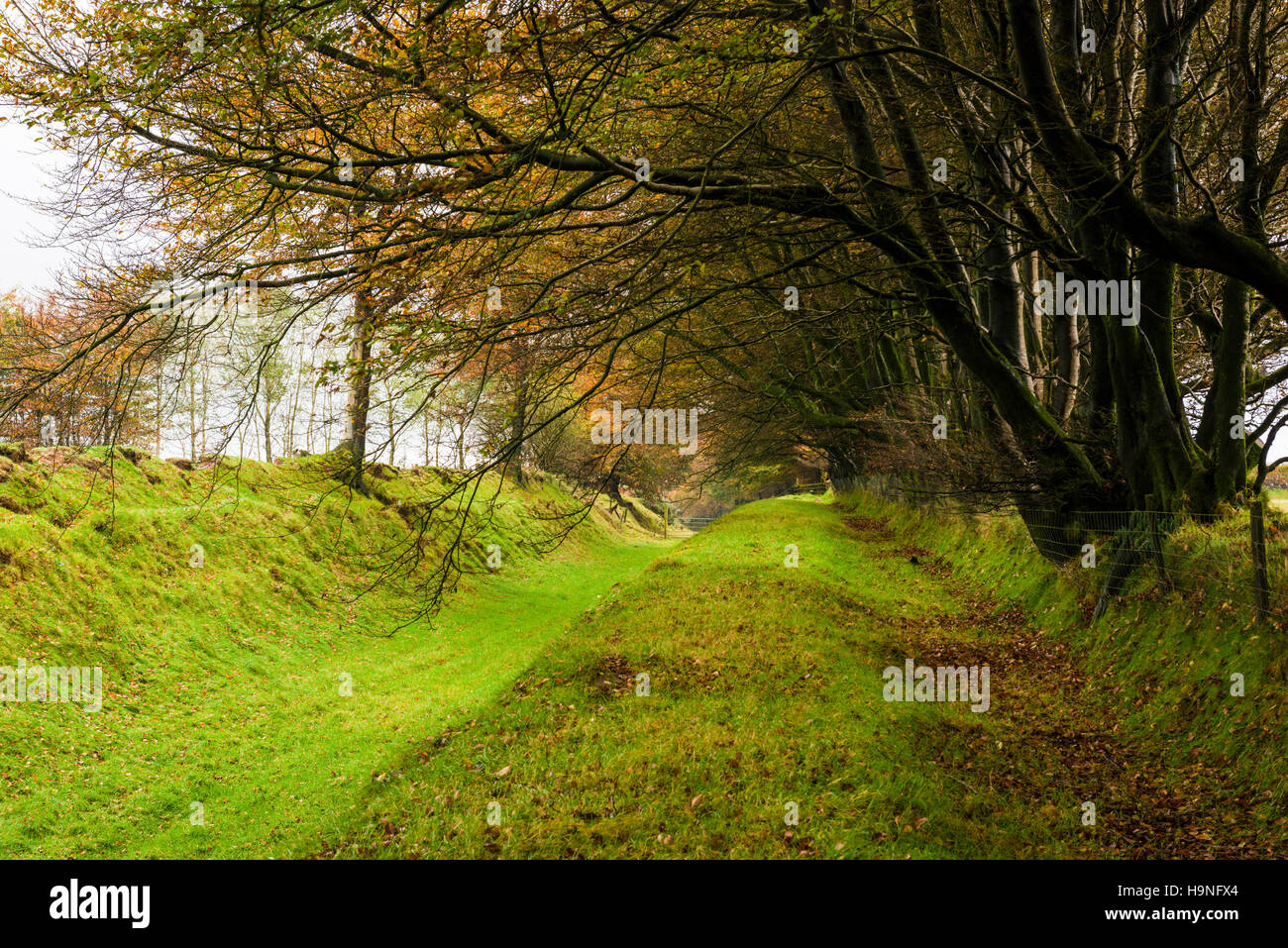 Das Bett der alten West Somerset Mineral Bahn Brendon Hill im Exmoor National Park. Somerset. England. Stockfoto