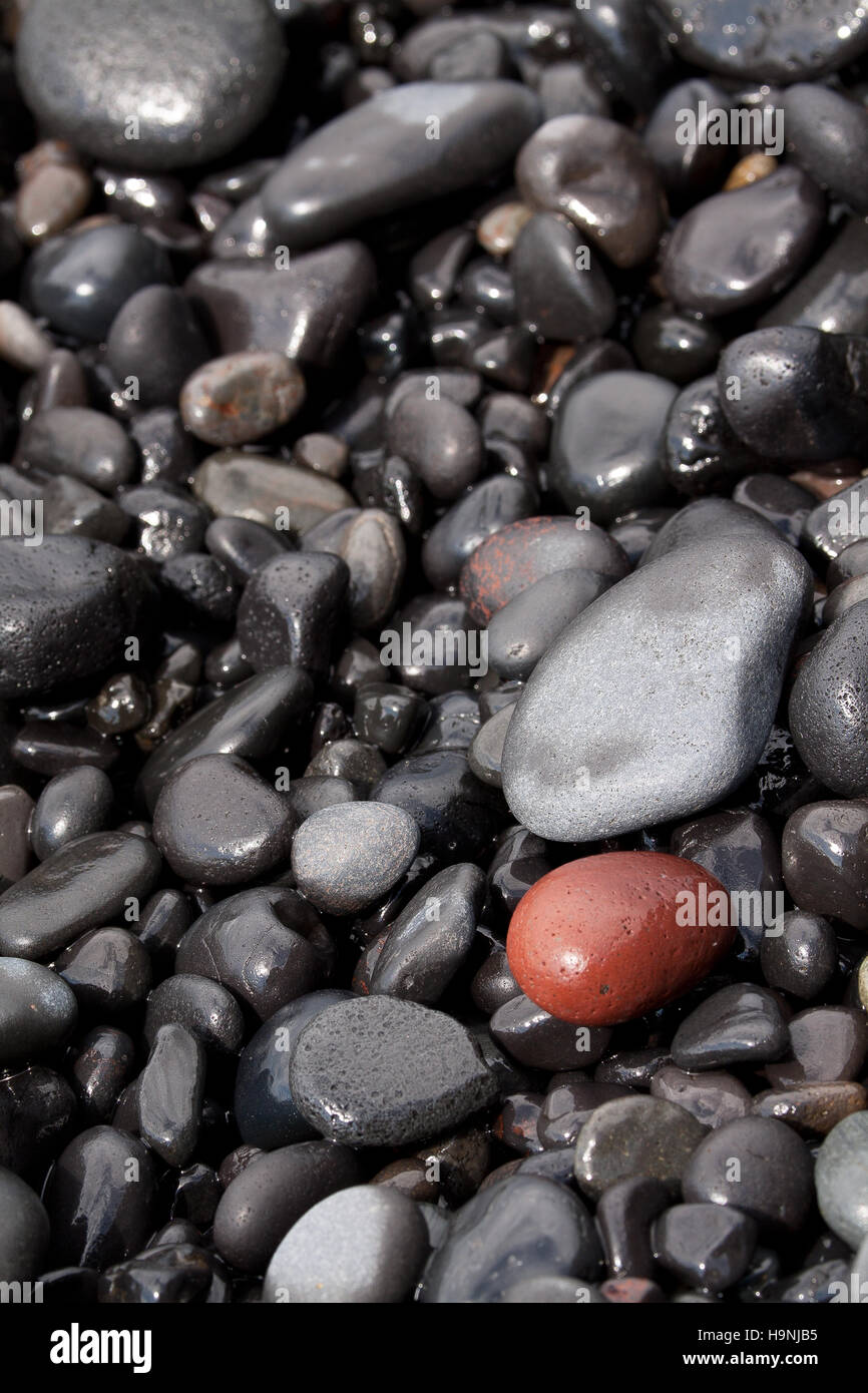 Roten Stein am Strand von schwarzen Steinen in Island Stockfoto