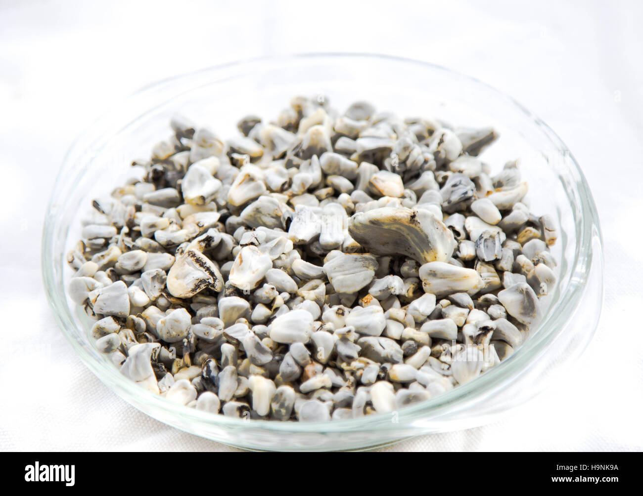 Cuitlacoche - mexikanisches Essen, Pilz gegessen, in der Regel als Füllung, in Quesadillas und anderen Tortilla-Beikost und Suppen. Stockfoto