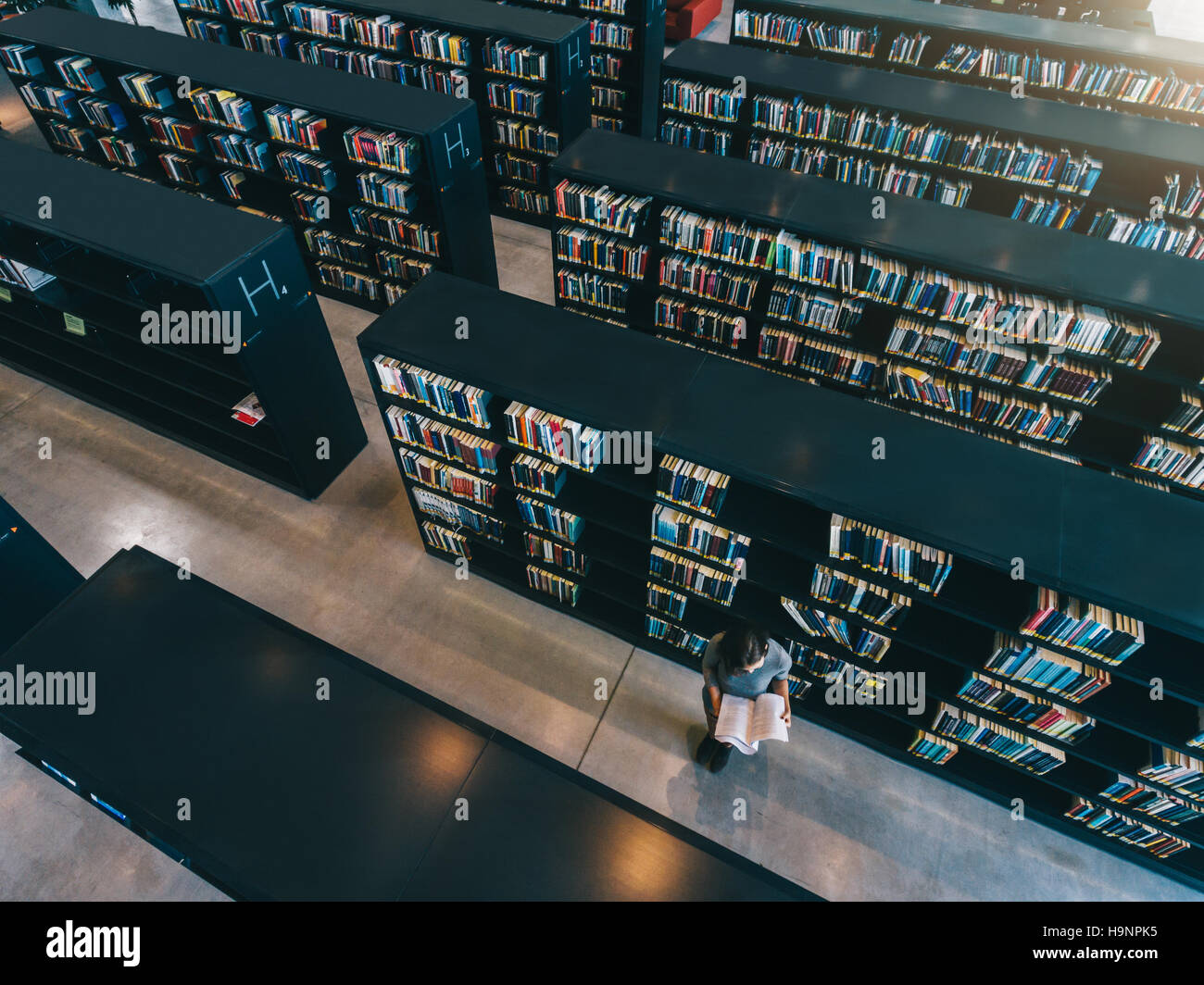 Blick von oben auf eine Studentin, die Bücher liest, während sie im Bücherregal sitzt. universitätsstudent studiert in der Bibliothek. Stockfoto