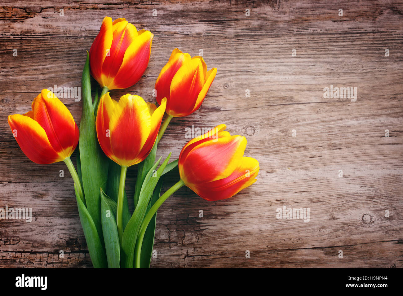 schöner Blumenstrauß gelbe Tulpen. Muttertagsfeier. Stockfoto