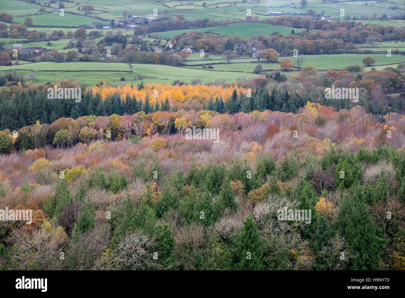 Herbstfarben im Lyth-Tal in der Nähe von Kendal, Lake District Stockfoto