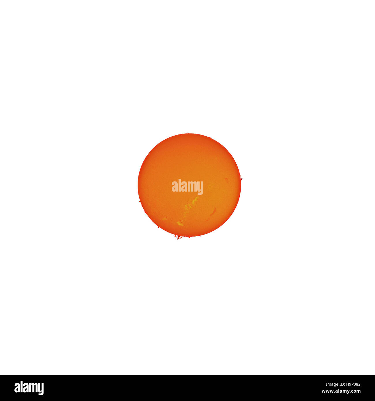 Die Sonne in H-alpha Linie auf weißem Hintergrund Stockfoto