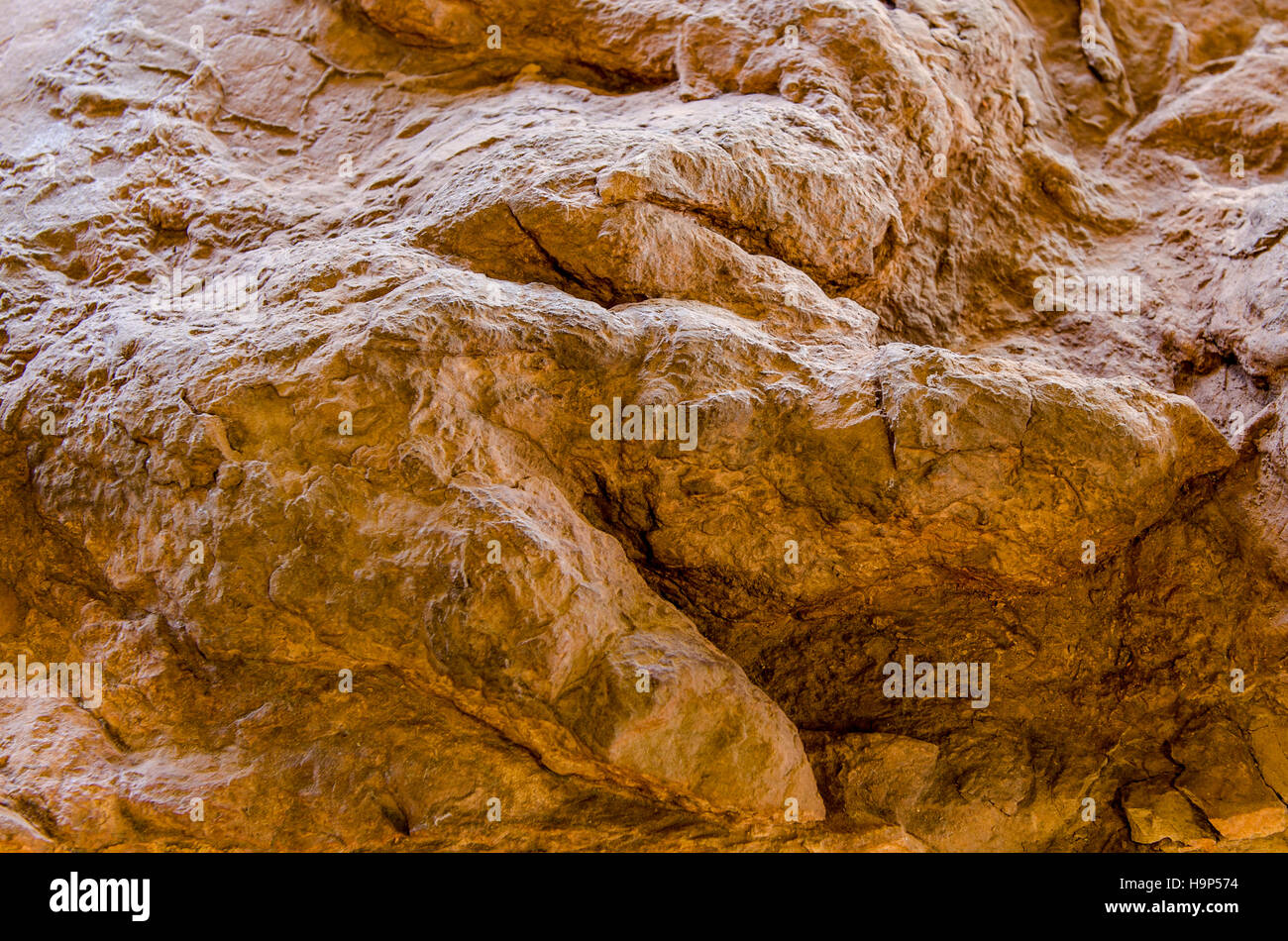 Dinosaur tracks an Dinosaurier Discovery, Farm Johnson, St. George, Utah, USA. Stockfoto Dinosaur tracks an Dinosaurier Discovery, Farm Johnson, St. George, Utah, USA. Stockfoto