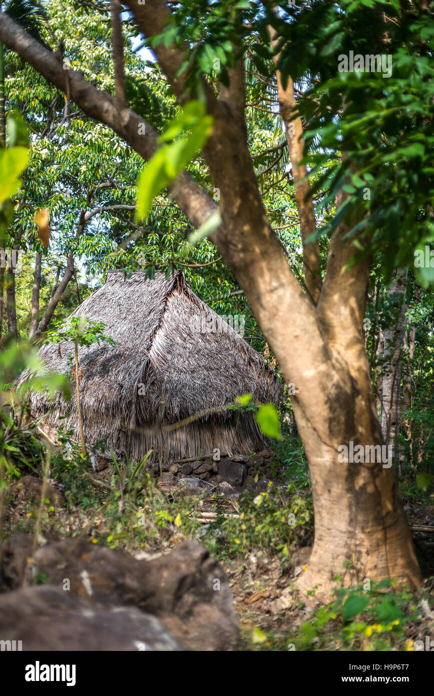 Eine Hütte mit Reetdach am Fuße des Uyelewun in Lembata Island, Lembata, Ost-Nusa Tenggara, Indonesien. Stockfoto