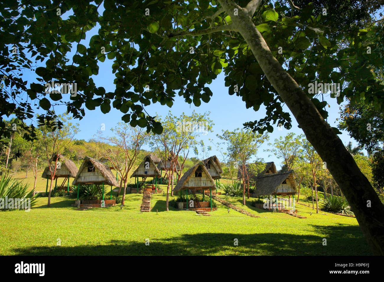 Dorf der Holzhäuser auf Stelzen, Las Terrazas, Viñales, Kuba Stockfoto