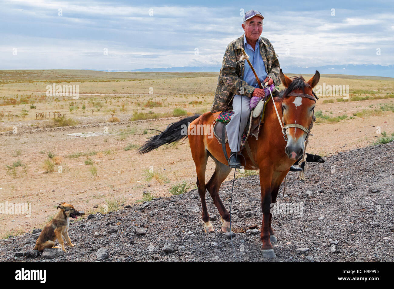 Kasachische Mann auf seinem Pferd in der Steppe von Kasachstan. Stockfoto