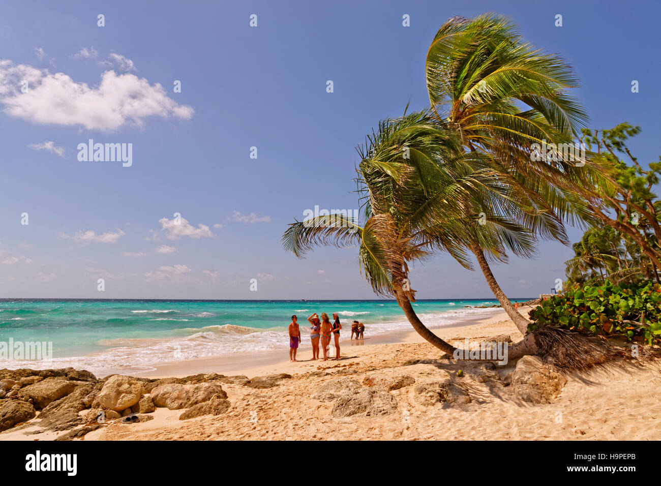 Dover Beach, St. Lawrence Gap, Südküste, Barbados, Karibik. Stockfoto