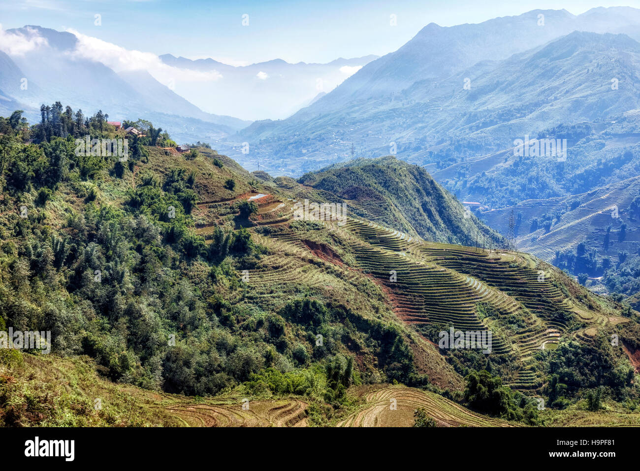 Reis Terrassen, Lao Chai, Sapa, Vietnam, Asien Stockfoto