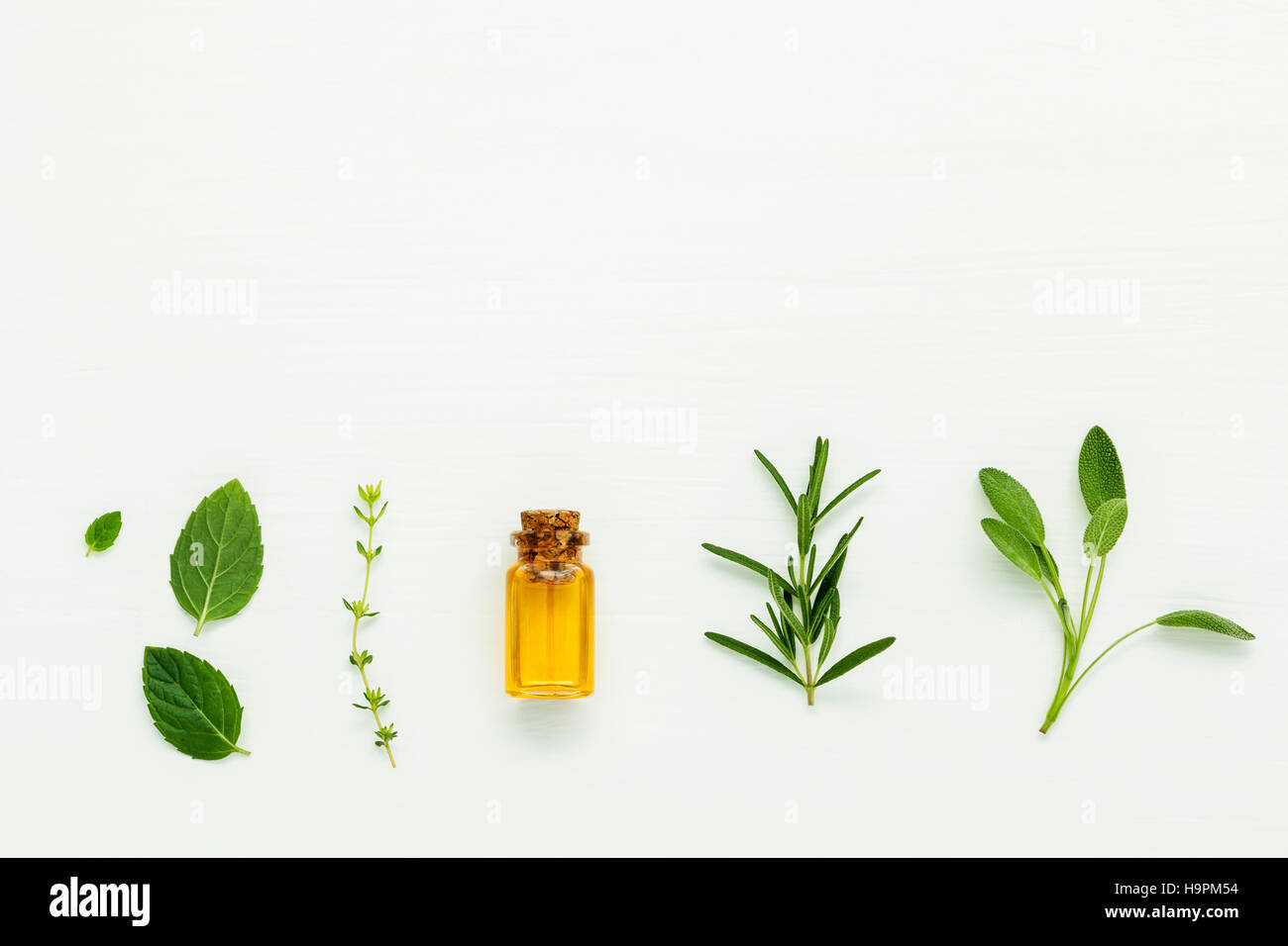 Flasche an ätherischem Öl mit frischen Kräuter Salbei, Rosmarin, Thymian Stockfoto