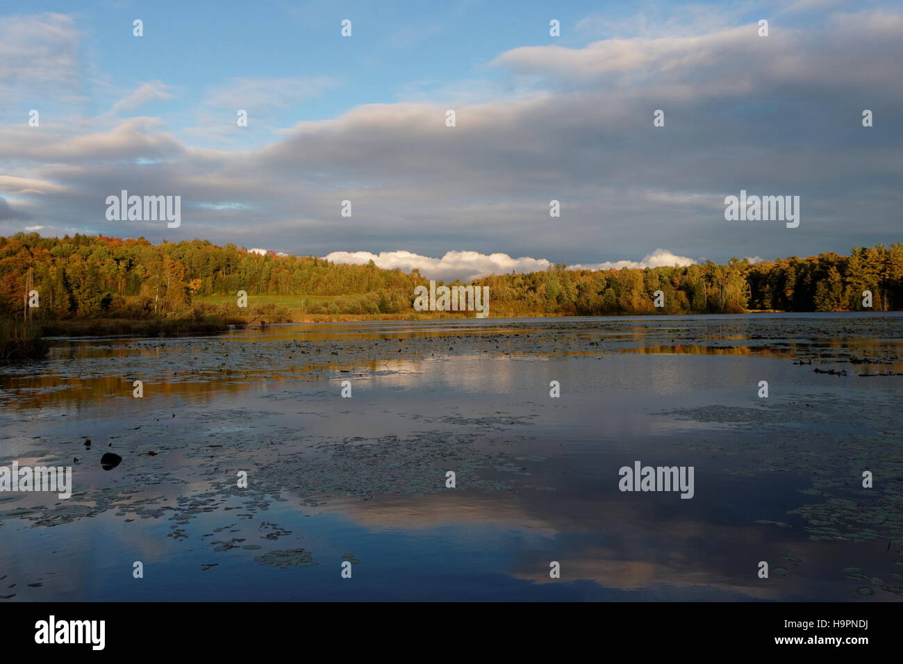 Feuchtgebiete Landschaft in Quebec, Kanada Stockfoto