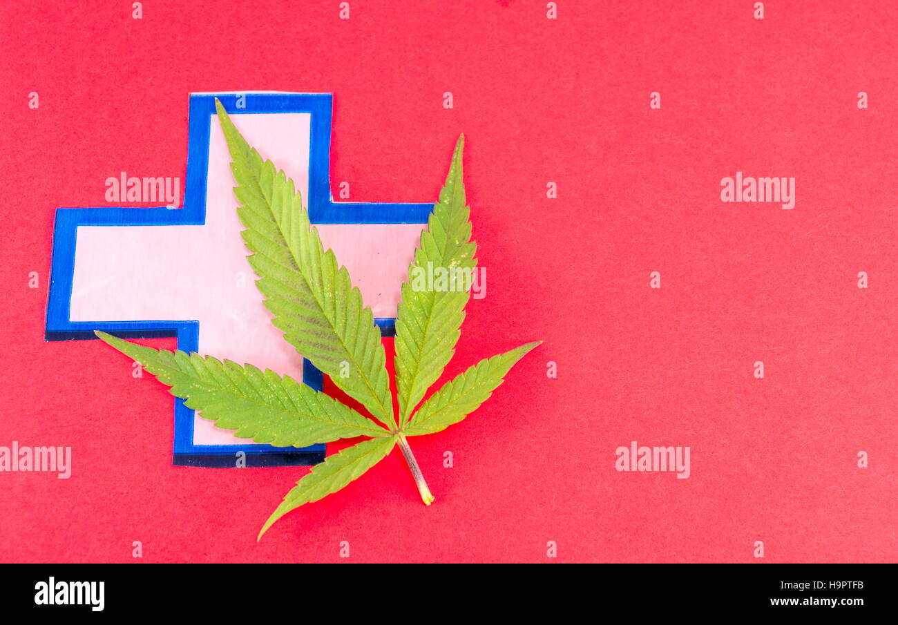 Cannabis-Pflanze und medizinisches Zeichen. Alternative Medizin-abstrakt Stockfoto