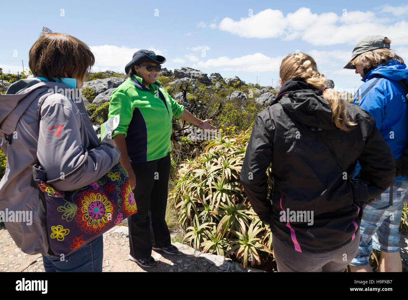 Touristen auf eine Tour durch den Gipfel des Tafelbergs mit ihrem Führer, Tafelberg, Kapstadt, Südafrika Stockfoto