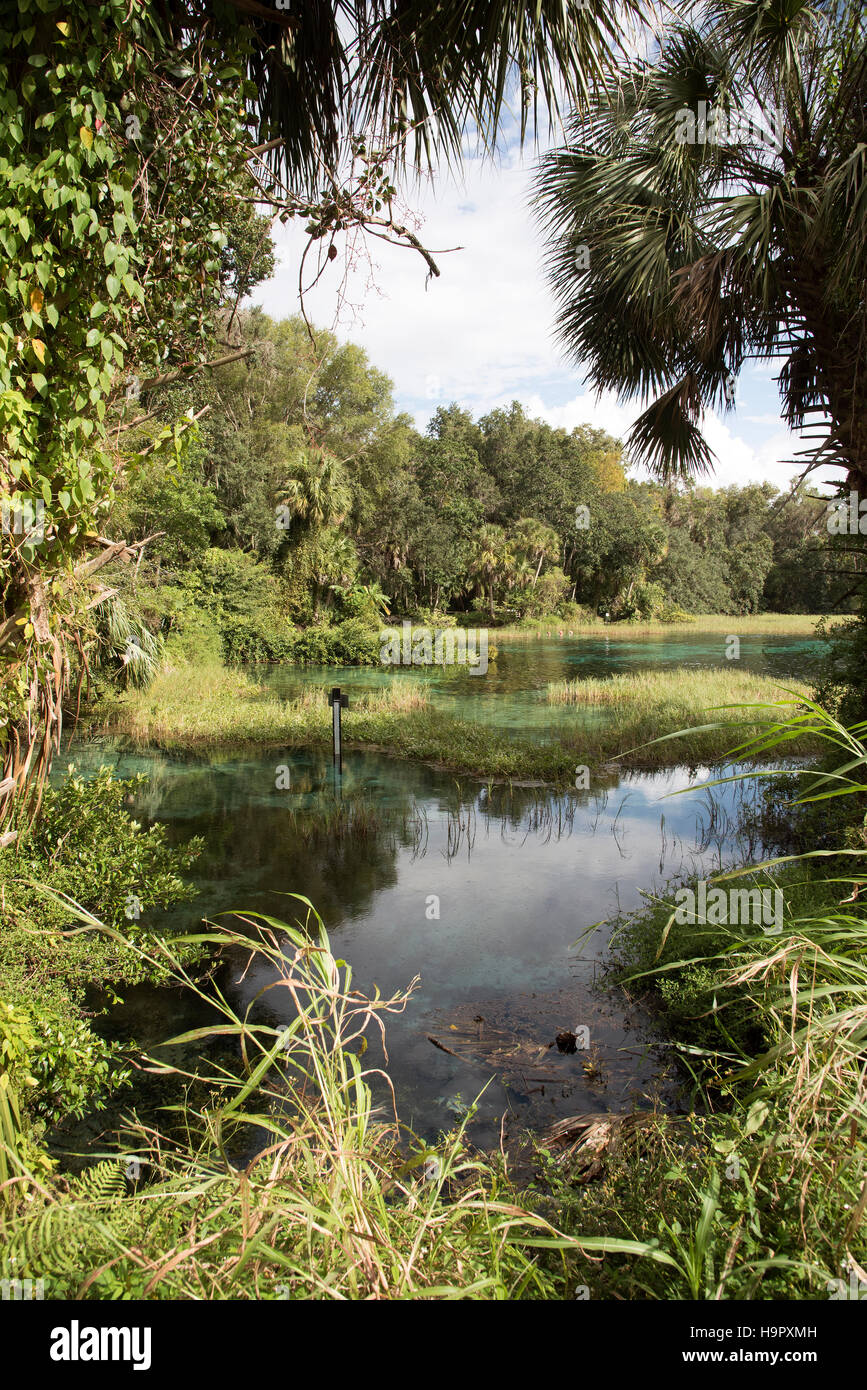 Rainbow Springs State Park Florida USA - The Rainbow River in den State park Stockfoto