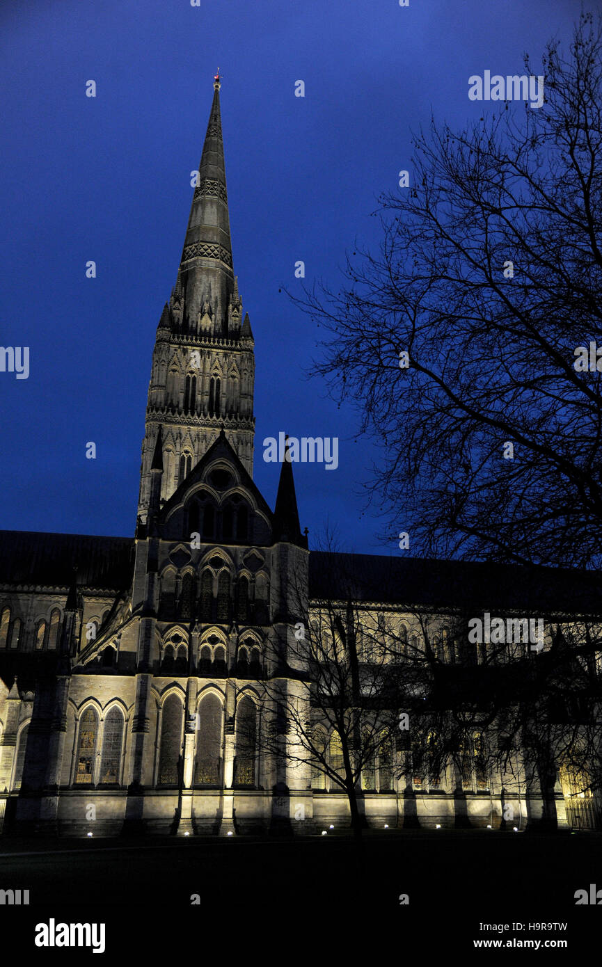 Kathedrale von Salisbury in der Nacht, Wiltshire, UK Stockfoto