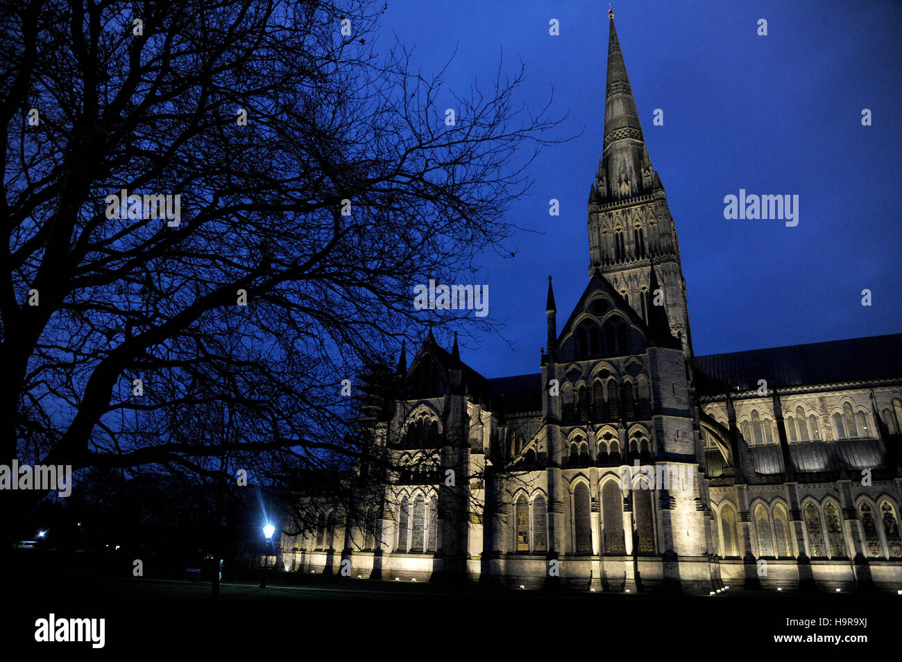 Kathedrale von Salisbury in der Nacht, Wiltshire, UK Stockfoto