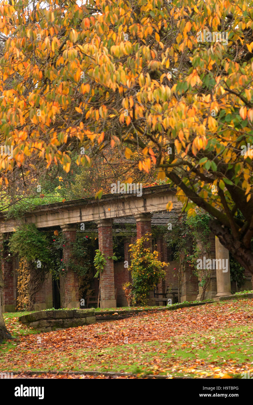 Der Sun-Pavillon in Valley Gardens, Harrogate, Nordyorkshire Stockfoto