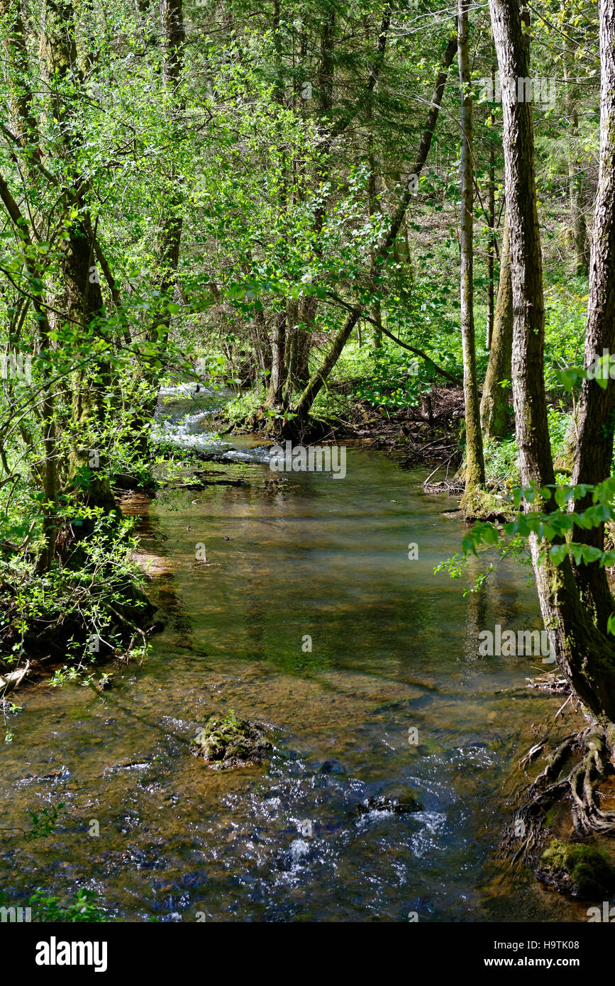 Püttlach River, obere-Püttlach-Tal, Naturpark Fränkische Schweiz, Pottenstein, Oberfranken, Franken, Bayern Stockfoto