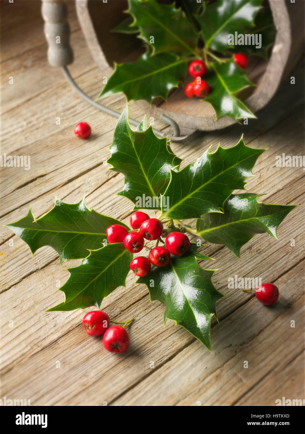 Bltter Stechpalme (Ilex), Weihnachts-Dekoration mit roten Beeren auf Holz  Stockfotografie - Alamy