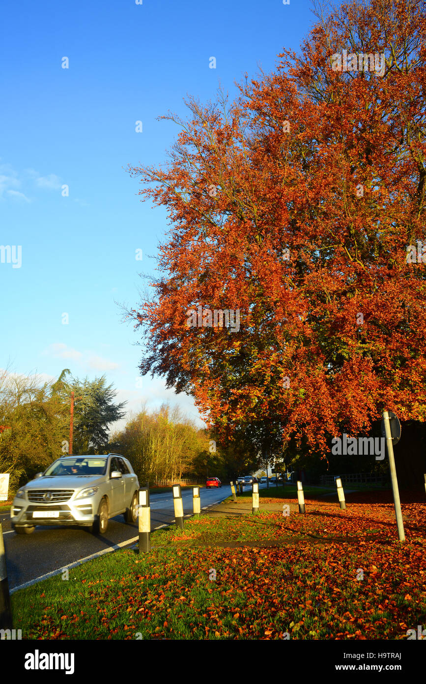 LKW Reisen über Land bis zum Herbst farbige Bäume in der Nähe von York Yorkshire UK Stockfoto