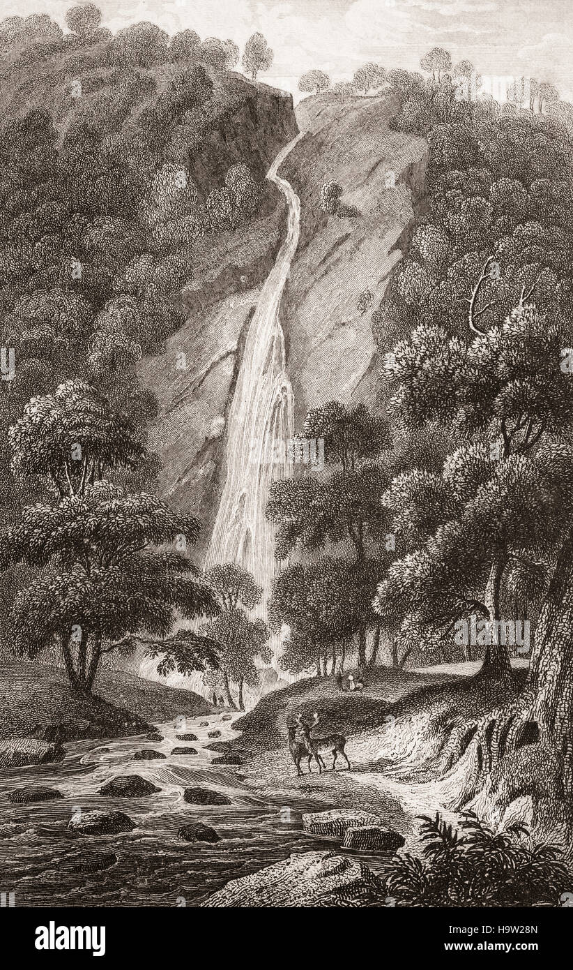 19. Jahrhundert-Ansicht von Powerscourt Wasserfall auf dem Fluss Dargle in der Nähe von Enniskerry, County Wicklow. Es liegt in einem Tal umgeben von Djouce Berg und die große Zuckerhut. In einer Höhe von 121 Metern (397 ft) ist es der höchste Wasserfall auf der irischen Insel. Den Wasserfall und das umliegende Tal sind Teil des Anwesens Powerscourt. County Wicklow, Irland Stockfoto