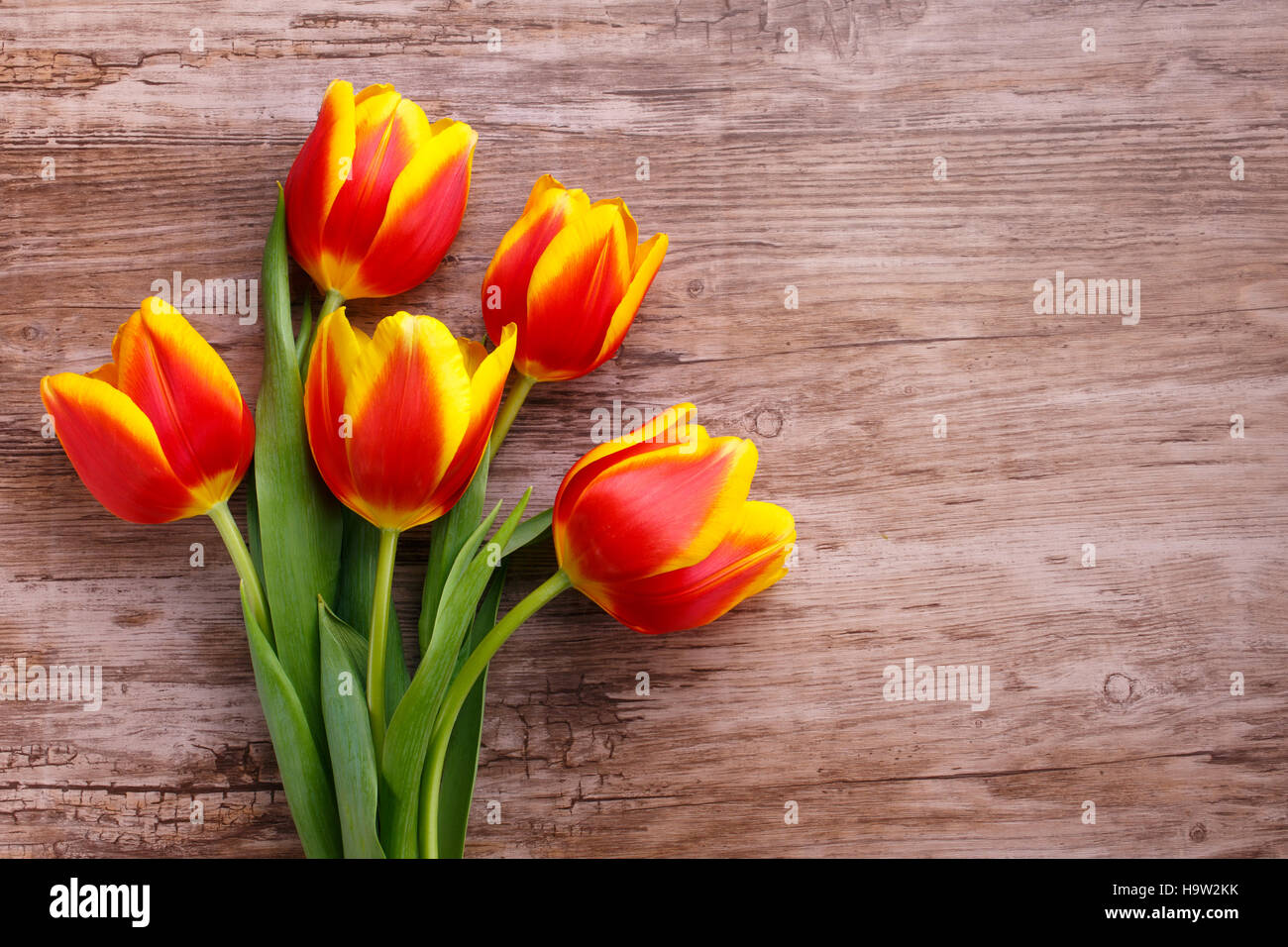 schöner Blumenstrauß gelbe Tulpen Stockfoto