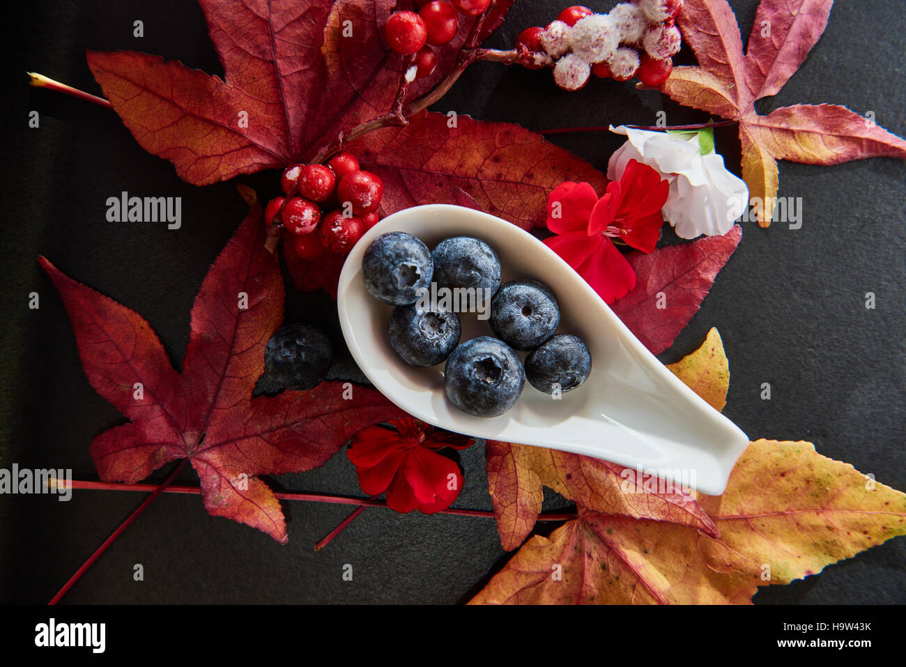 Rot, Blaue Beeren mit Maple leafs Blüten auf einem dunklen Schiefer Platte angeordnet Stockfoto