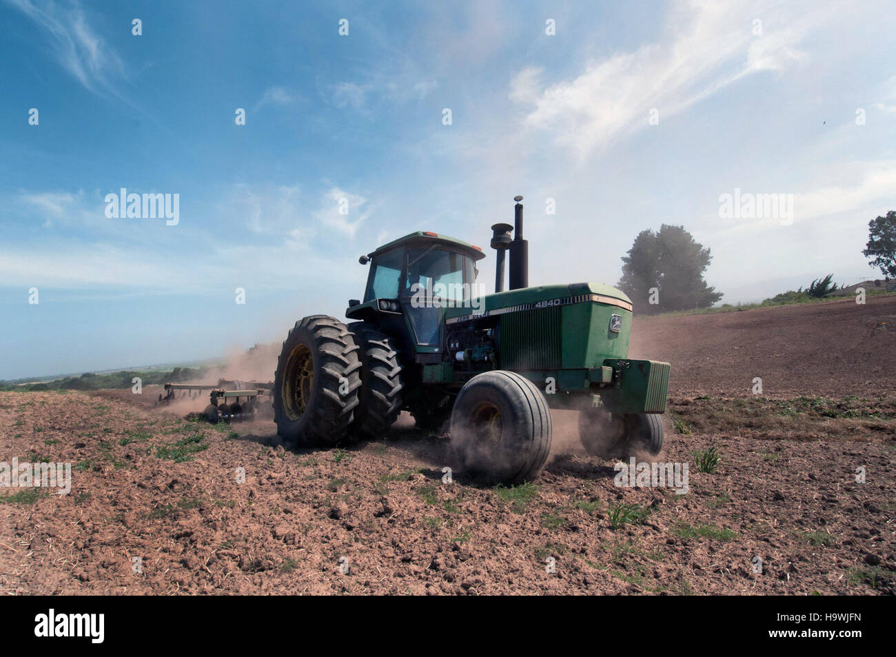 Usdagov 16951186580 A Traktor bei Blattgemüse Stockfoto