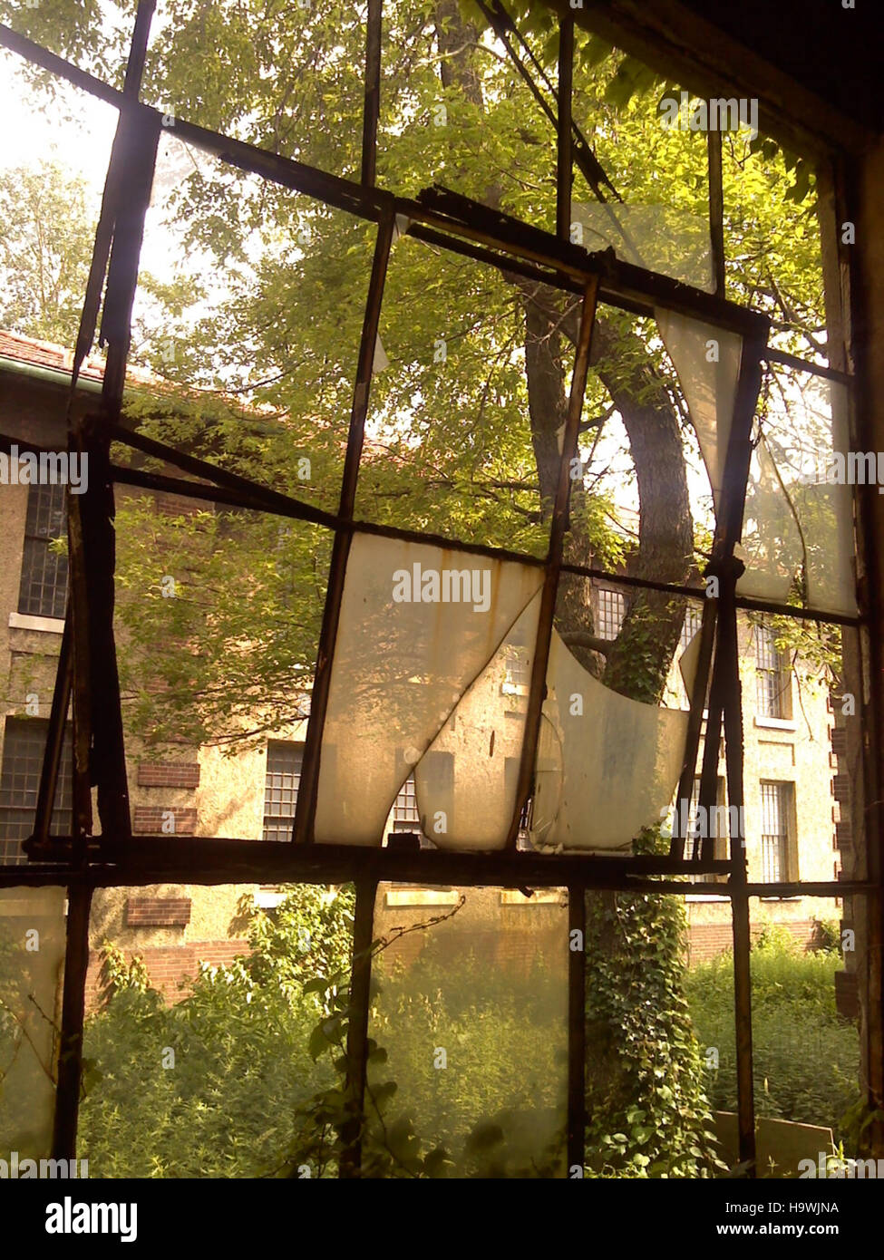 Ein Blick auf die psychiatrischen Stationen auf Ellis Island, die einst Teil der medizinischen Einrichtungen für Einwanderer waren, die Anfang des 20. Jahrhunderts in die USA kamen. Stockfoto